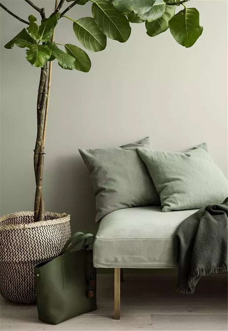 墙面流行色彩搭配,流行墙面色彩