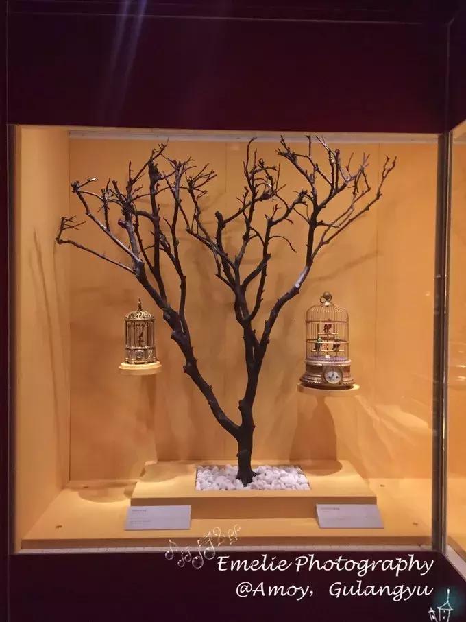 厦门旅游攻略厦门站到鼓浪屿,厦门鼓浪屿下雨有什么攻略