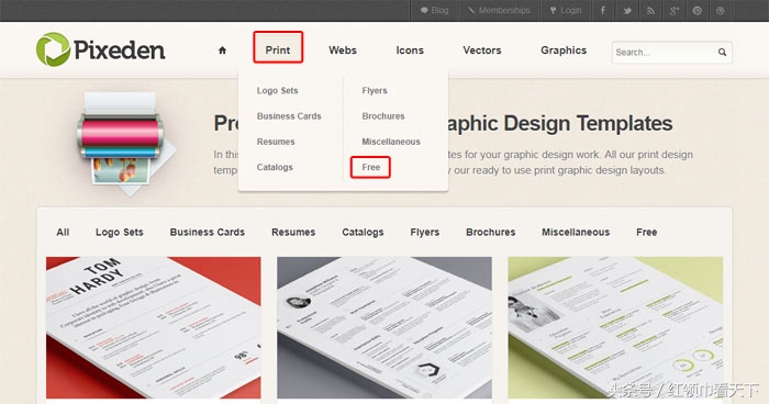 Mark，外国网站Pixeden提供免费简历、名片、包装设计等素材