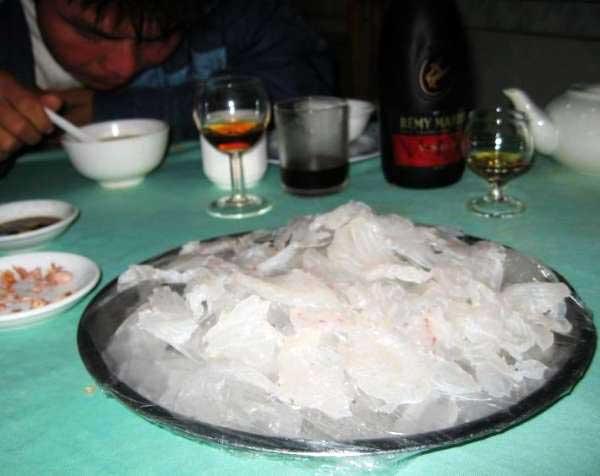 九种冬天也能钓的鱼,海边野钓有什么鱼好吃