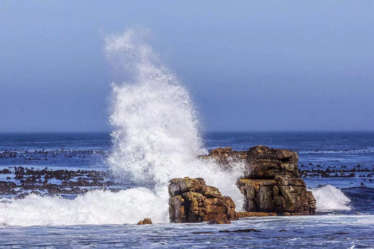 南非线路攻略|与鲨共舞、沙漠开花、隔海观鲸,你了解非洲吗?