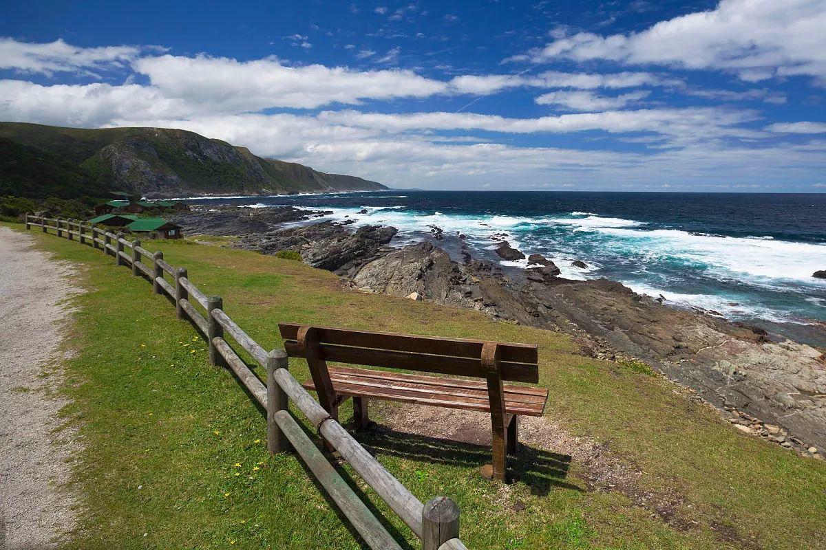 南非线路攻略|与鲨共舞、沙漠开花、隔海观鲸,你了解非洲吗?