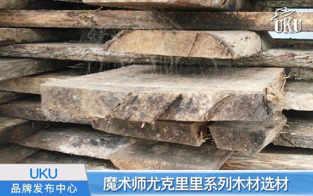 尤克里里帅吗,尤克里里kaka和卢森哪个好