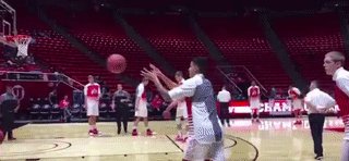 乔丹贝尔和库兹马的区别,库兹马和乔丹贝尔的区别