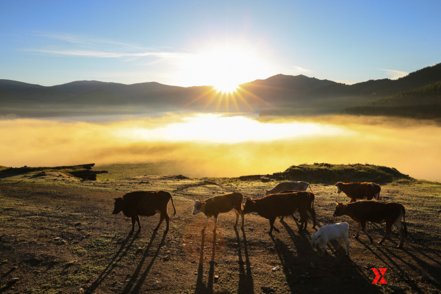 终点亦是起点青春永不散场,终点亦是起点起点亦是终点