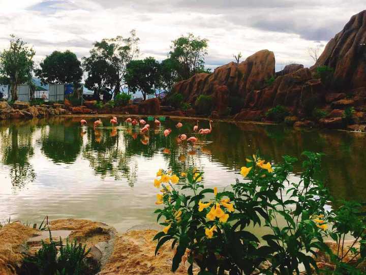 芽庄珍珠岛游乐园刺激项目,芽庄珍珠岛乐园