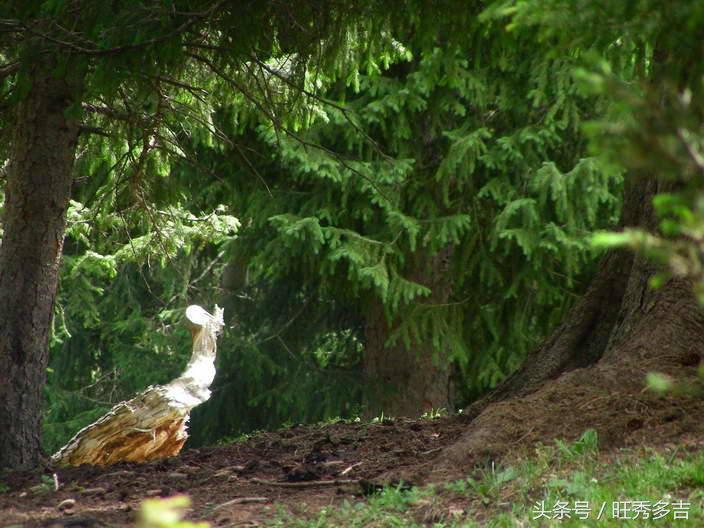 乌孙古道徒步注意事项和技巧,乌孙古道徒步穿什么衣服八月