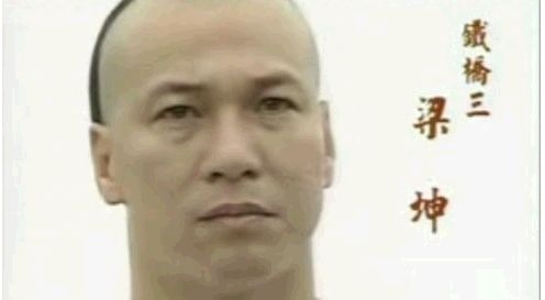 现实中的黄飞鸿会醉拳吗,黄飞鸿醉拳十大招式