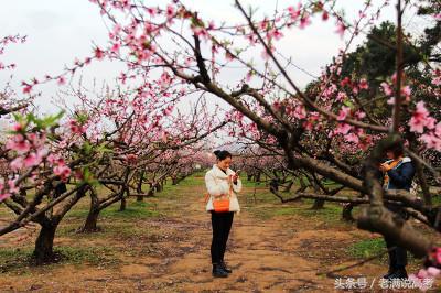 华中地区包括三个省，而以华中命名的211大学只在这个省