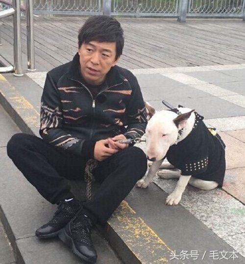 牛头梗到底有多丑,牛头梗咬人怎么松口