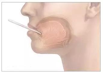 备孕一定要相信科学,备孕需要知道真话实话