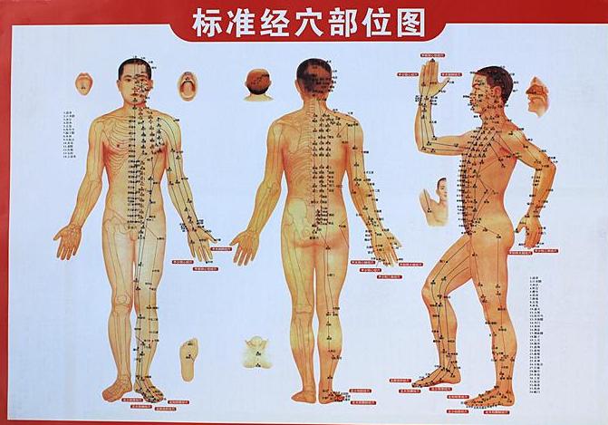 中医穴位知识大全,穴位功效大全快收藏吧
