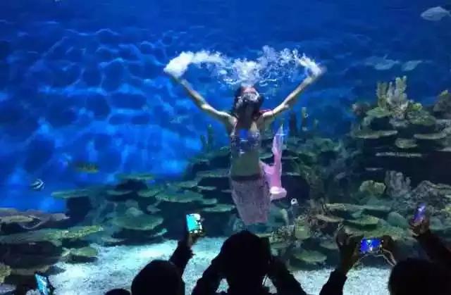 又一条高铁,太原青岛高铁