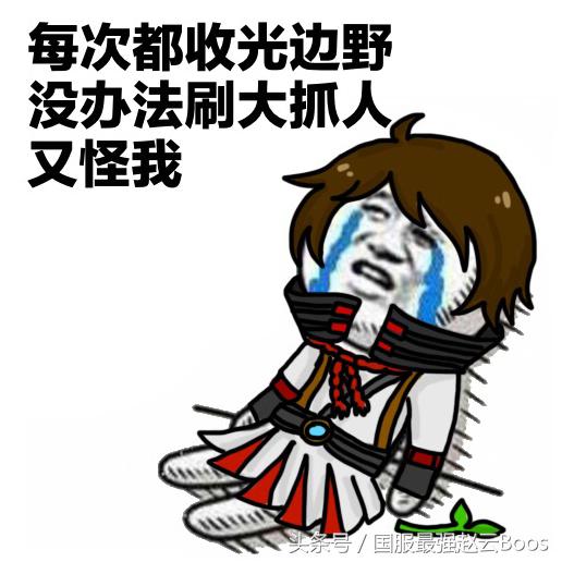 王者荣耀如果辅助是软辅ad怎么玩,王者荣耀高端局的辅助该怎么玩