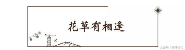 祥生玖熙花苑嘉兴入户大堂,嘉兴祥生玖熙花苑规划