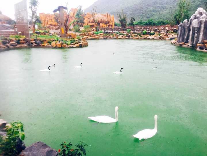 芽庄珍珠岛游乐园刺激项目,芽庄珍珠岛乐园