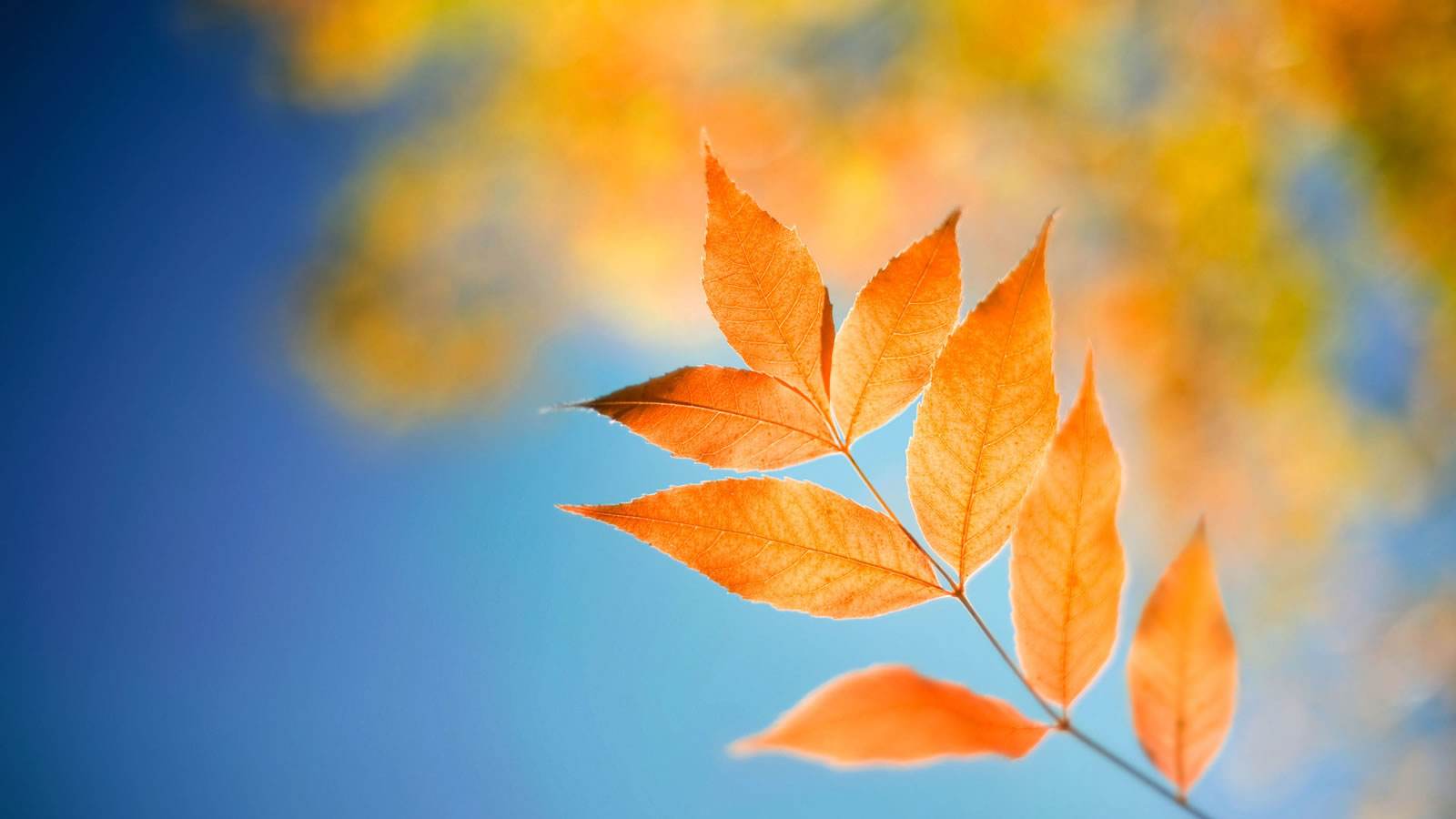 心里胆小害怕恐惧恐慌应该怎么办,如何消除恐惧焦虑和自我心理暗示