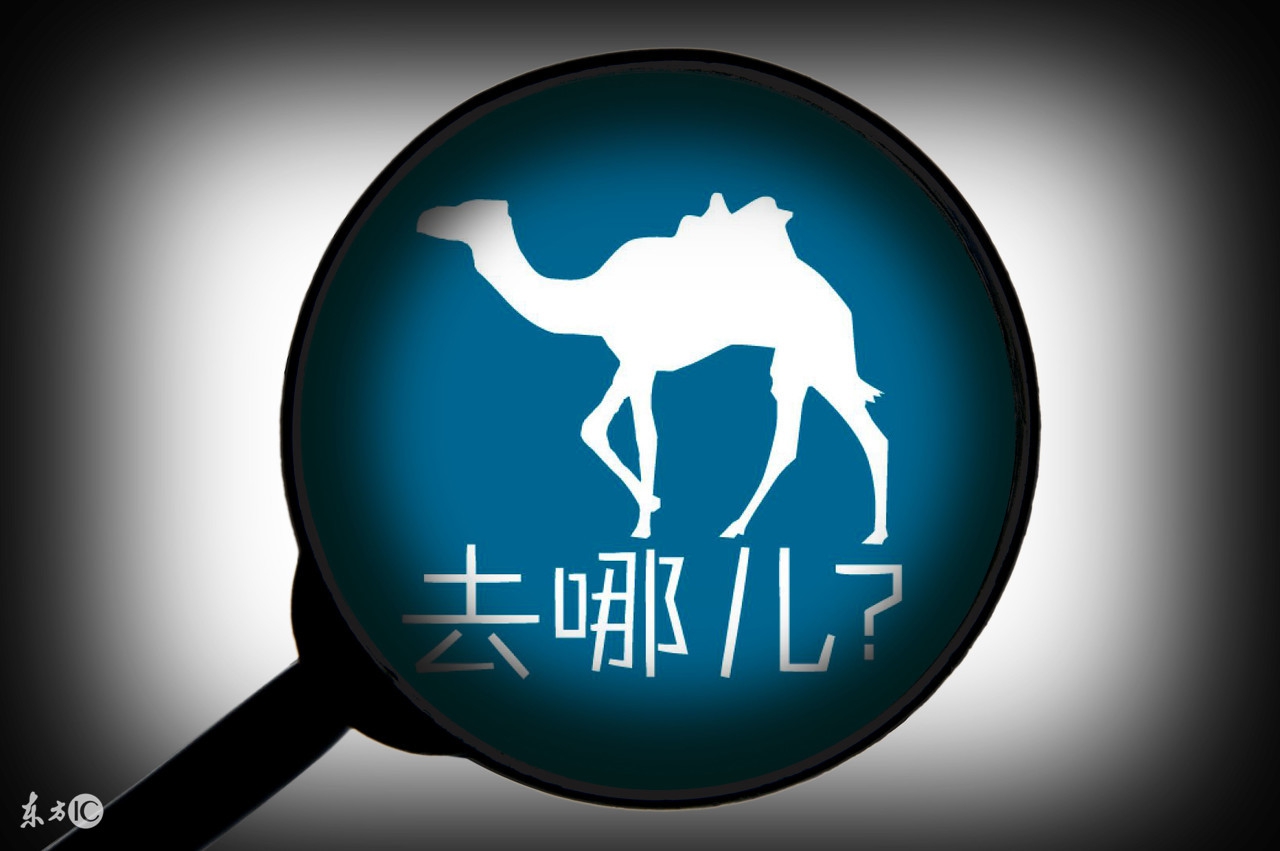 买机票上平台还是官网?各平台间的区别!