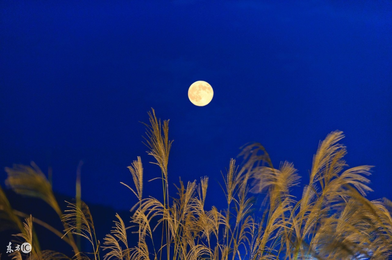 女生名字带月的好听名字,好听的女孩子带月的名字