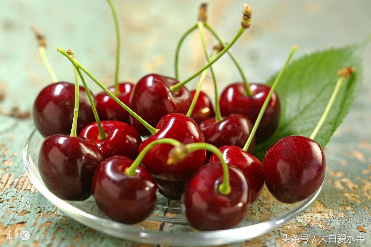 智利进口大樱桃持续到什么时候 (智利樱桃和黑珍珠樱桃哪个口感好)