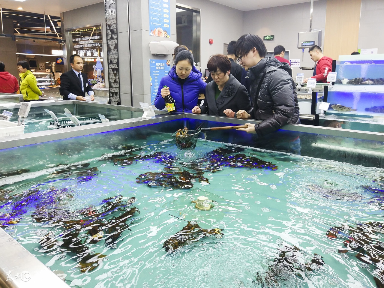 1500家小店2000家母婴300家生鲜超市150家体育连锁苏宁要干嘛
