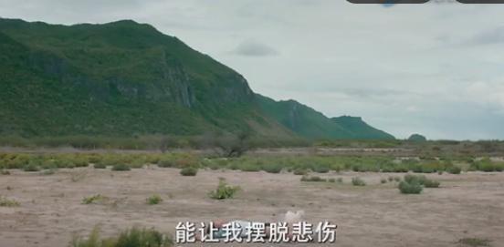 泰国送盲人礼物广告,泰国广告免费送