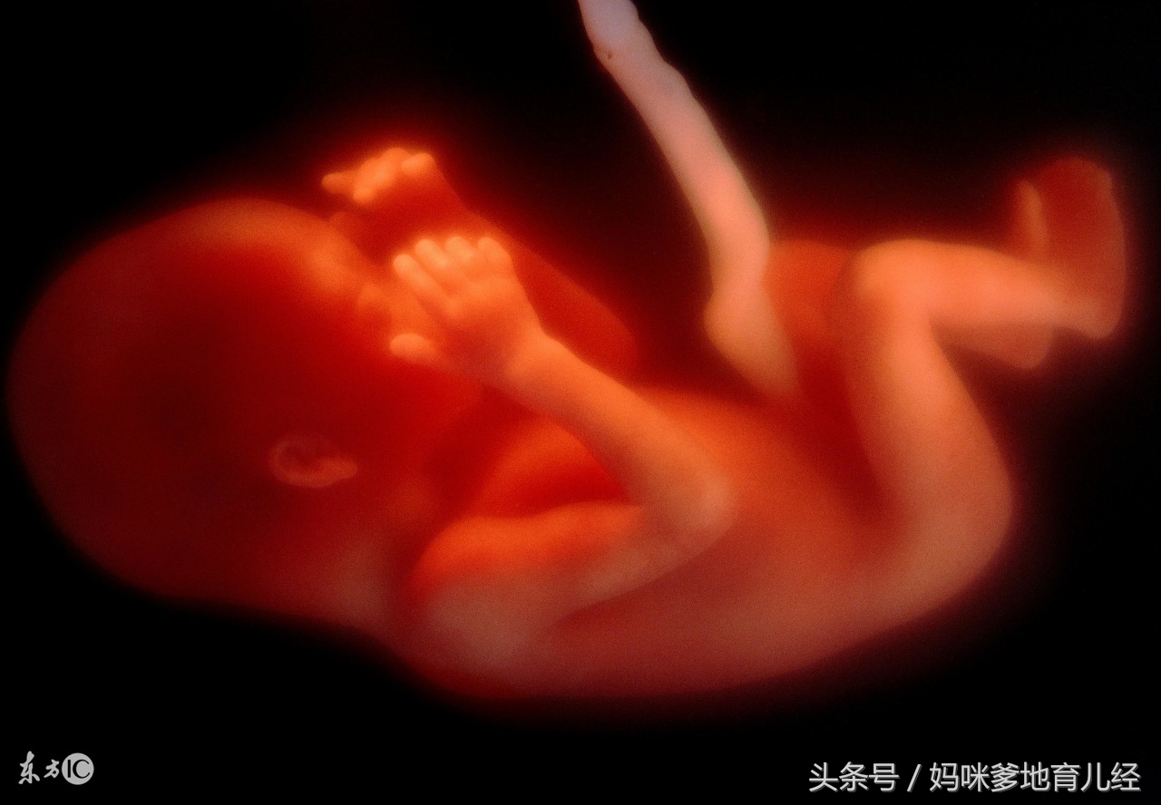 怀孕后孕妈至少要懂这些,孕妈谨记千万不要生气