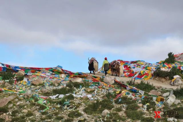 终点亦是起点青春永不散场,终点亦是起点起点亦是终点