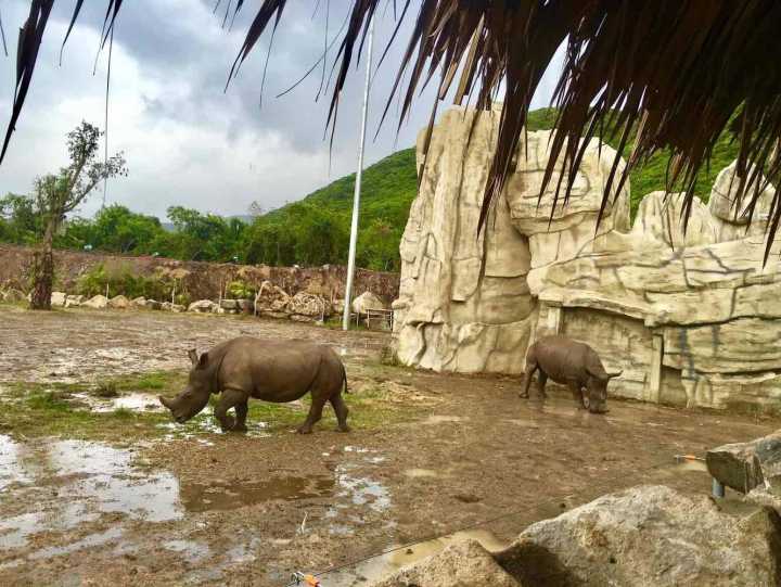 芽庄珍珠岛游乐园刺激项目,芽庄珍珠岛乐园