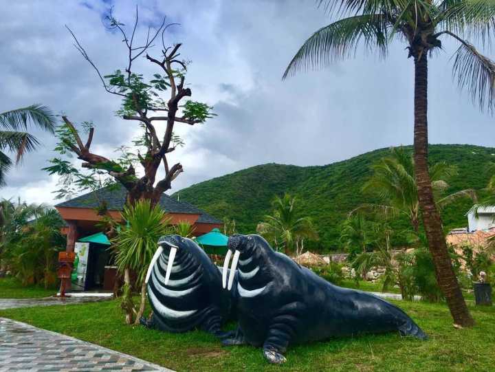 芽庄珍珠岛游乐园刺激项目,芽庄珍珠岛乐园