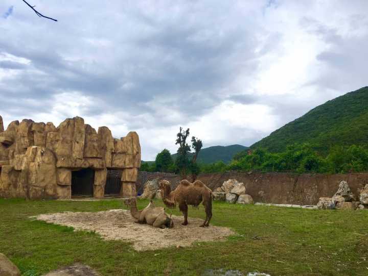芽庄珍珠岛游乐园刺激项目,芽庄珍珠岛乐园