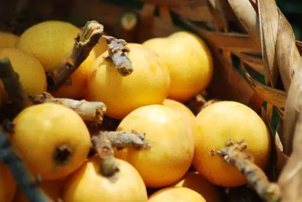 南通一整年的时令美食都在这儿，新一年照着吃就对了！