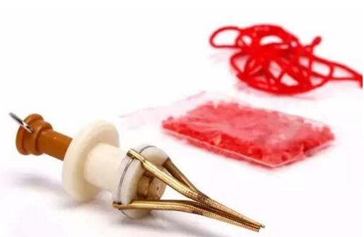 蚯蚓红虫怎么区分公母视频,红虫喂鱼还需要分公母吗