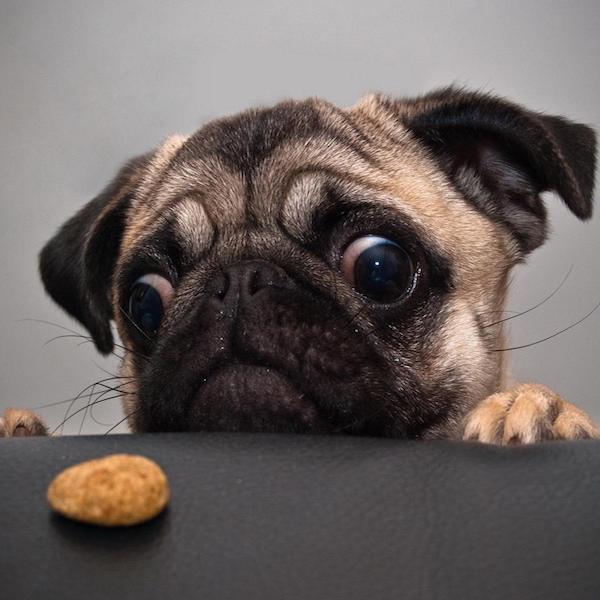 大牌新年限定辣眼,各奢侈品龙年限定