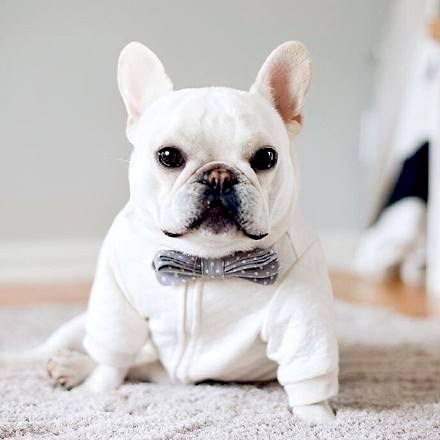 大牌新年限定辣眼,各奢侈品龙年限定