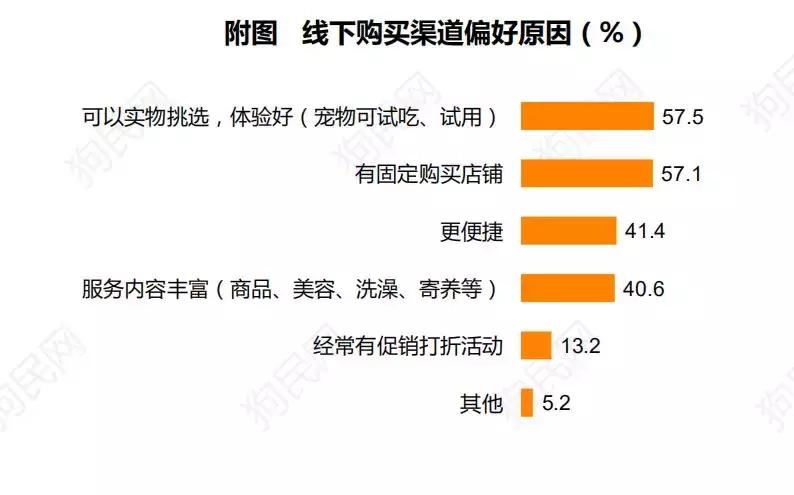 宠物店真实感受,宠物店是什么体验