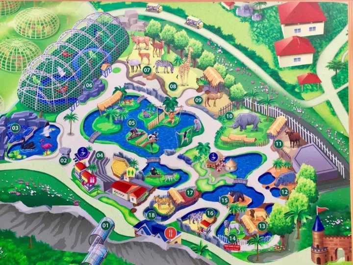 芽庄珍珠岛游乐园刺激项目,芽庄珍珠岛乐园