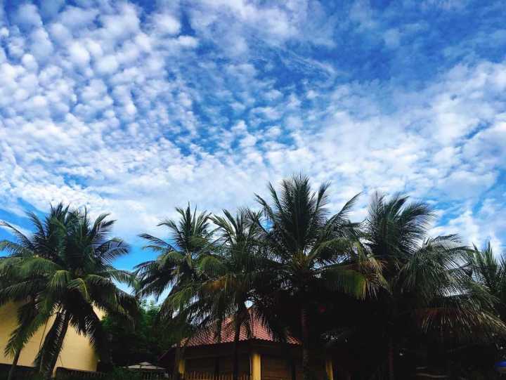 芽庄珍珠岛游乐园刺激项目,芽庄珍珠岛乐园