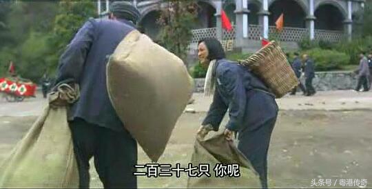 柳云龙风筝郑耀先,柳云龙与郑耀先是什么电视连续剧