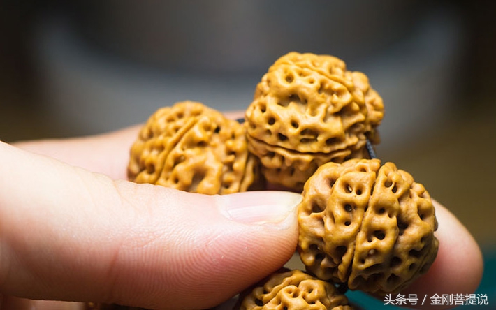 新手如何选择金刚菩提手串,新手如何选择菩提金刚单圈