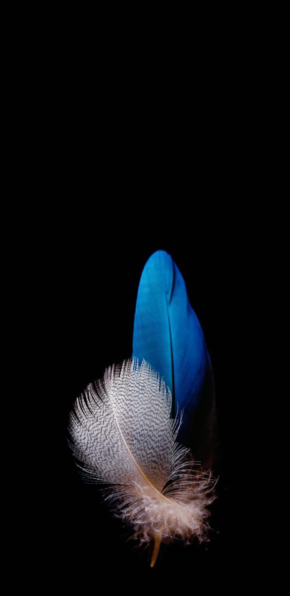 ios所有自带壁纸高清原版,正版高清壁纸在哪买