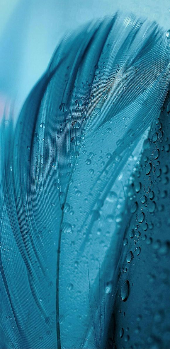 ios所有自带壁纸高清原版,正版高清壁纸在哪买