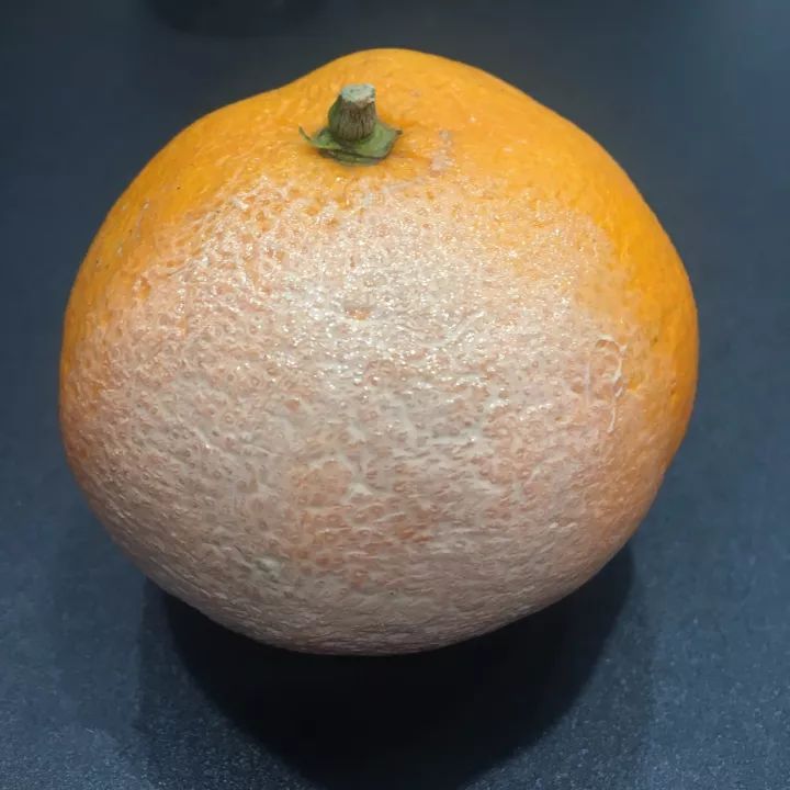 测评|资生堂完美意境粉底霜(内含100元内资生堂好物推荐)