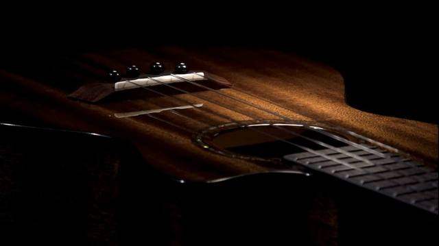 尤克里里帅吗,尤克里里kaka和卢森哪个好