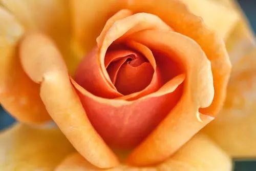 中英文标点还有这些区别，你知道吗？考试时不要用错了哦~