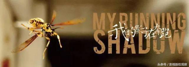 章子怡许晴武侠电影,章子怡许晴电影全集