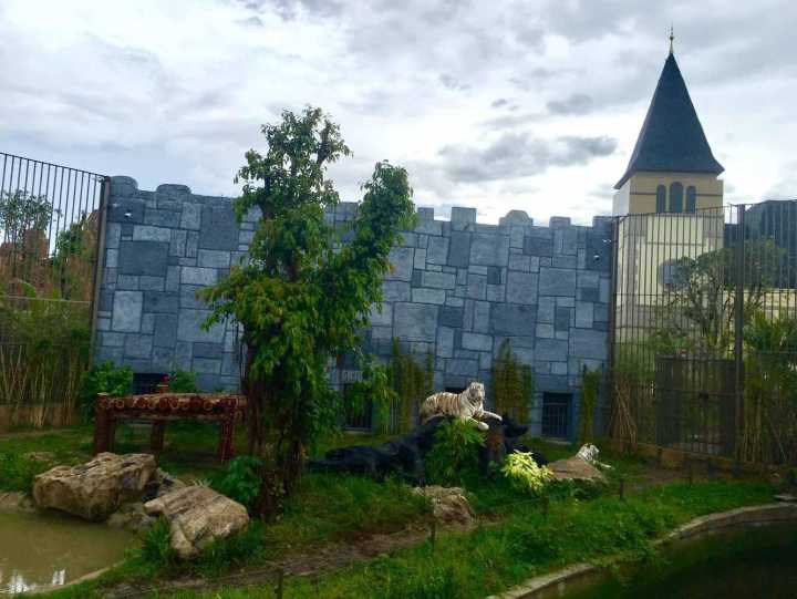 芽庄珍珠岛游乐园刺激项目,芽庄珍珠岛乐园