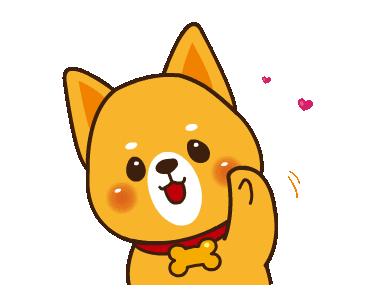 戌年限量大盘点：落闸，放狗，旺！旺！旺！