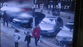 极端爱狗人士袭击动物园,极端爱狗人士后续