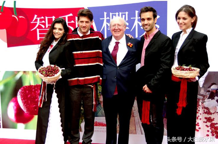 智利进口大樱桃持续到什么时候 (智利樱桃和黑珍珠樱桃哪个口感好)